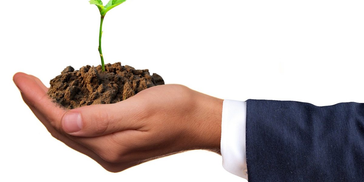 Vers_un_environnement_professionnel_plus_vert_:_les_bienfaits_des_enseignes_végétales_en_entreprise